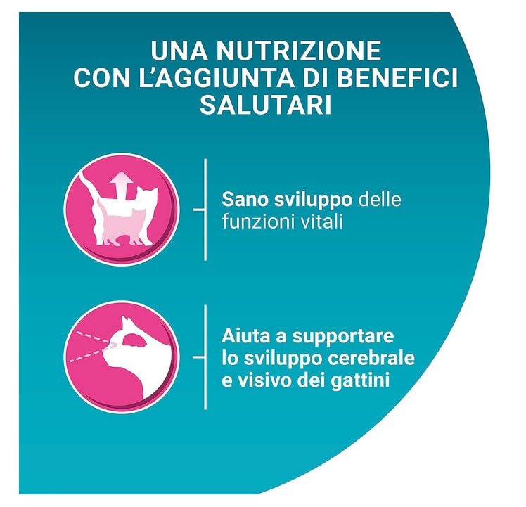 Purina One Bifensis Junior Crocchette Gatti, 1-12 Mesi, Pollo e Cereali, 800g