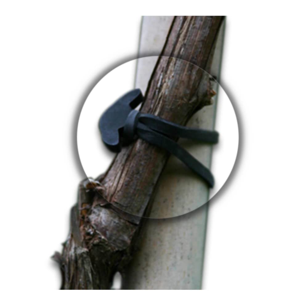 CG94 GANCIO ELASTICO - Fissaggio elastici con gancio ANCORA per orto teloni supporto piante da 500 gr CM.5