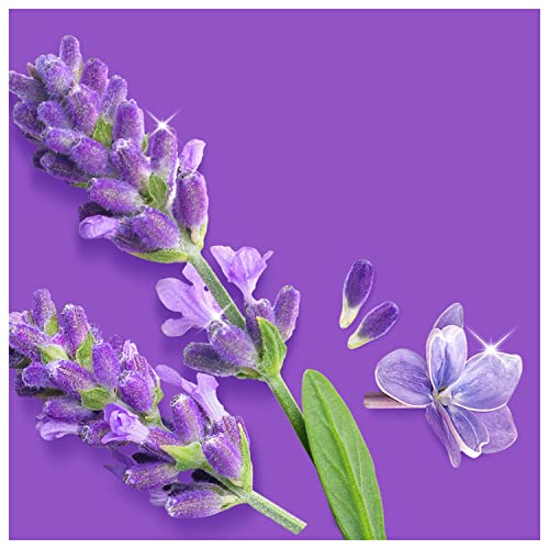 Mastro Lindo Detergente per pavimenti, Ingredienti di Origine Vegetale