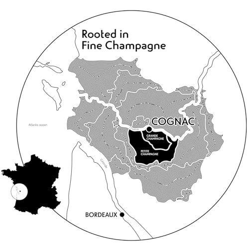 Remy Martin V.S.O.P. Cognac, 700 ml