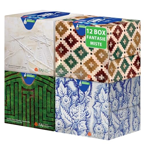 Tempo, Scatola di Fazzoletti di Carta, 3 Scatole da 80 Fazzolettini Monouso, 4 Veli, Box Limited Edition Firmata Marras, 4 Grafiche Assortite, Confezione Riciclabile
