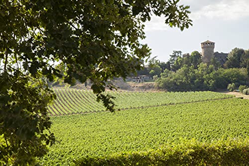 Castello della Sala Conte Della Vipera Umbria IGT, 750ml