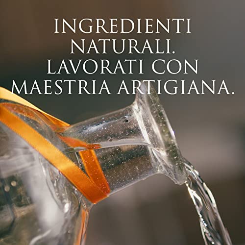 PATRÓN Reposado Premium Tequila, Vol. 40%, 70 cl / 700 ml, creata in Messico in piccoli lotti a partire dal 100% della migliore agave Weber Blue, invecchiata per oltre 2 mesi in botti di rovere