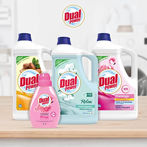 Dual Power Detersivo Lavatrice e a Mano per Bianchi e Colorati - Rimuove le Macchie più Difficili - per 100 Lavaggi
