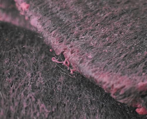 Spontex Scrub & Wipe