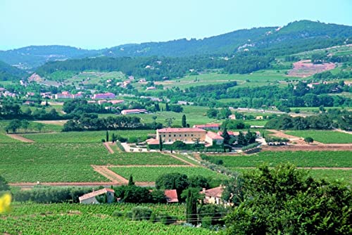 By.ott Cotes De Provence Vin Rose' Cl 75 Domaines Ott