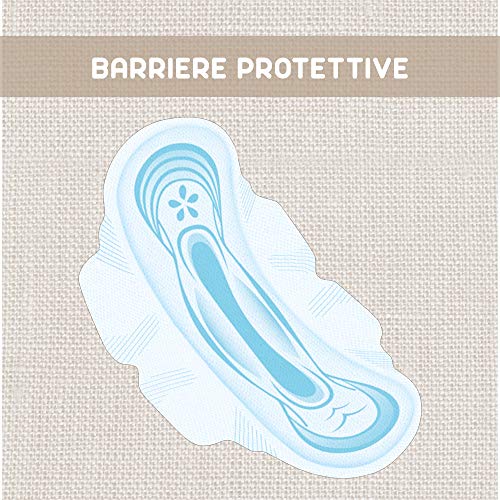 LINES ASSORBENTI ALI