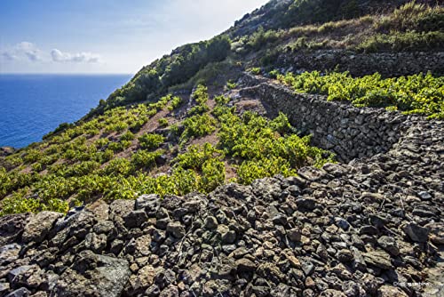 Donnafugata Kabir Moscato di Pantelleria Doc - 357 ml