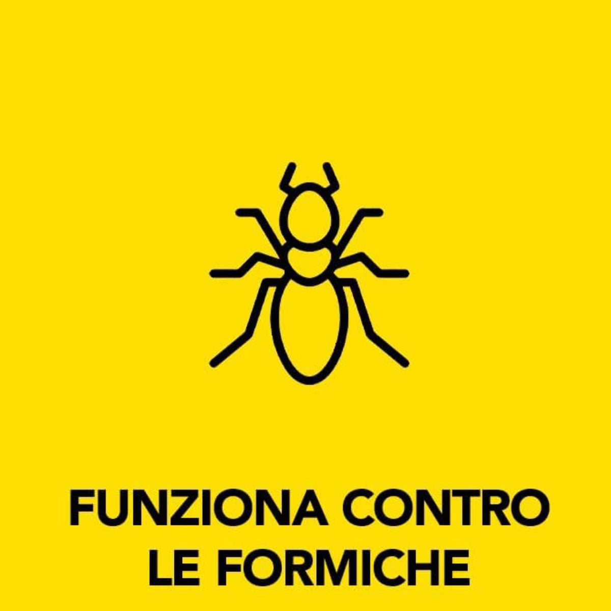 Raid Esca Formiche Bipacco – Antiformiche per Interni ed Esterni, Azione Rapida, Lunga Durata Bipacco 2Pz