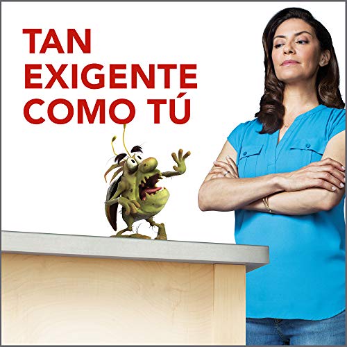 Raid Esca