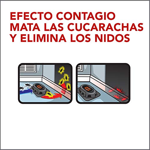 Raid Esca