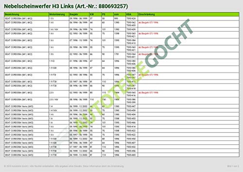 Fari fendinebbia di auto GOCHT