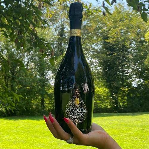 Accademia Blu Prosec