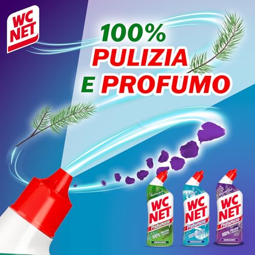 Wc Net - Profumoso Gel, Anticalcare e Igienizzante per WC, Tripacco Mono Fragranza a Seconda della Disponibilità, 3 Flaconi da 700 ml