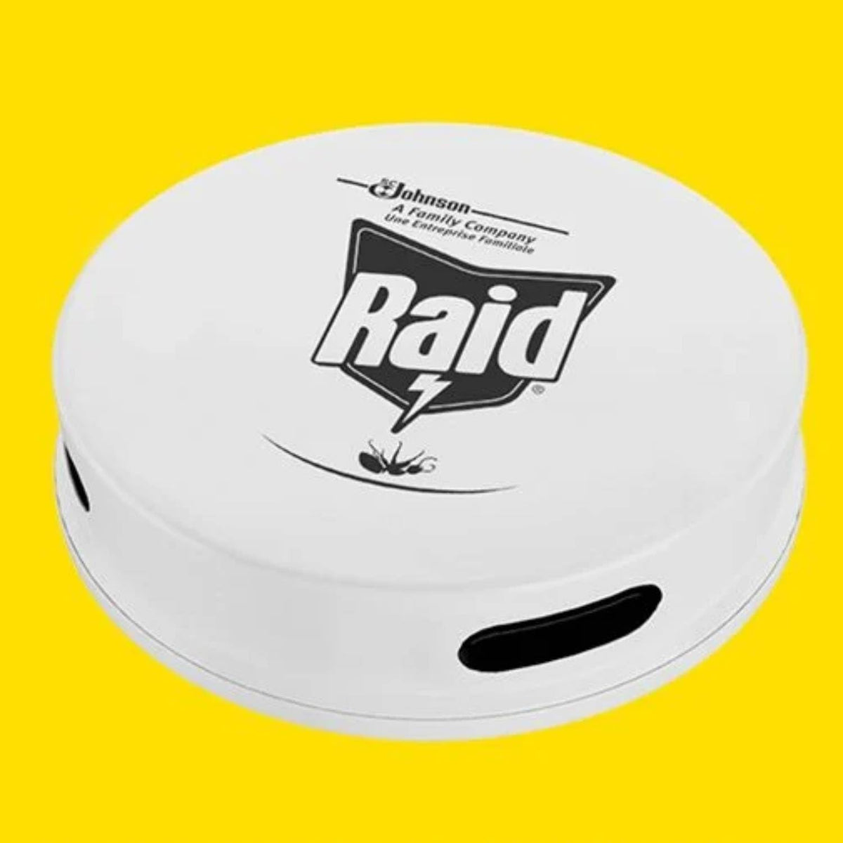 Raid Esca Formiche Bipacco – Antiformiche per Interni ed Esterni, Azione Rapida, Lunga Durata Bipacco 2Pz