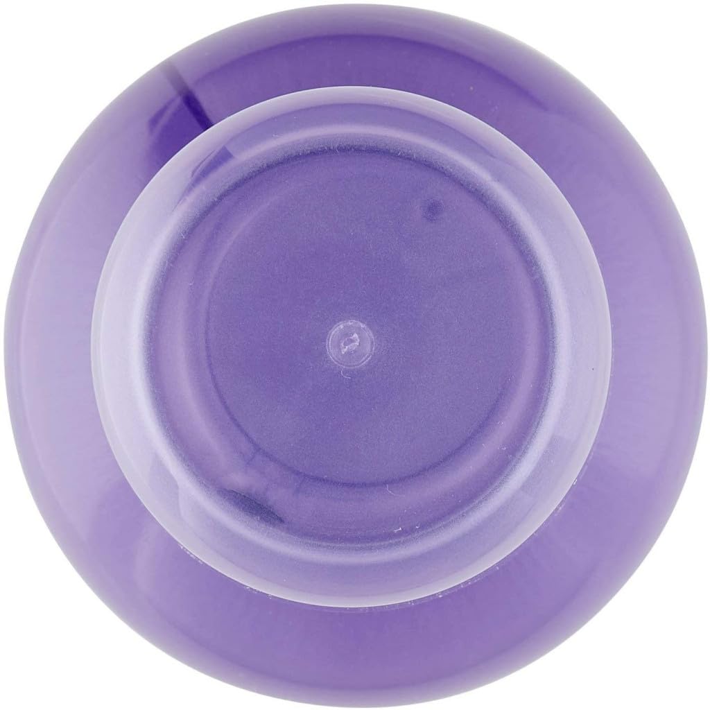 Felce Azzurra Lavanda Deodorante Ambienti, 24 confezioni da 250 ml