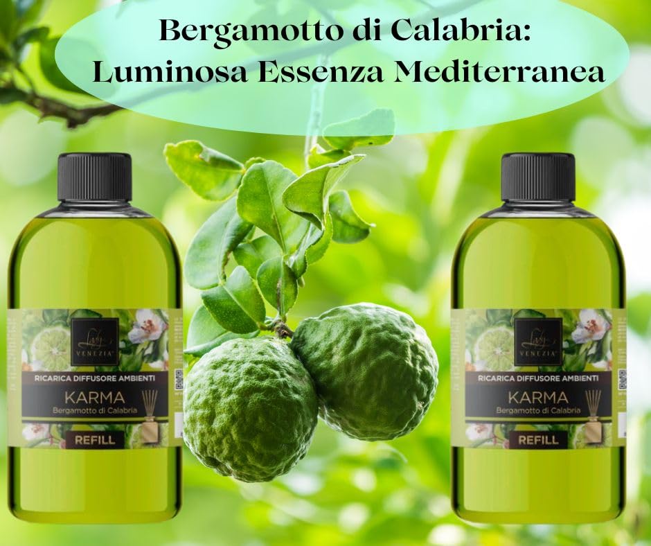 Lady Venezia Ricarica per Diffusore Bastoncini – 500 ML Profumatore Ambiente – Essenze per la Casa - Fragranze Assortite