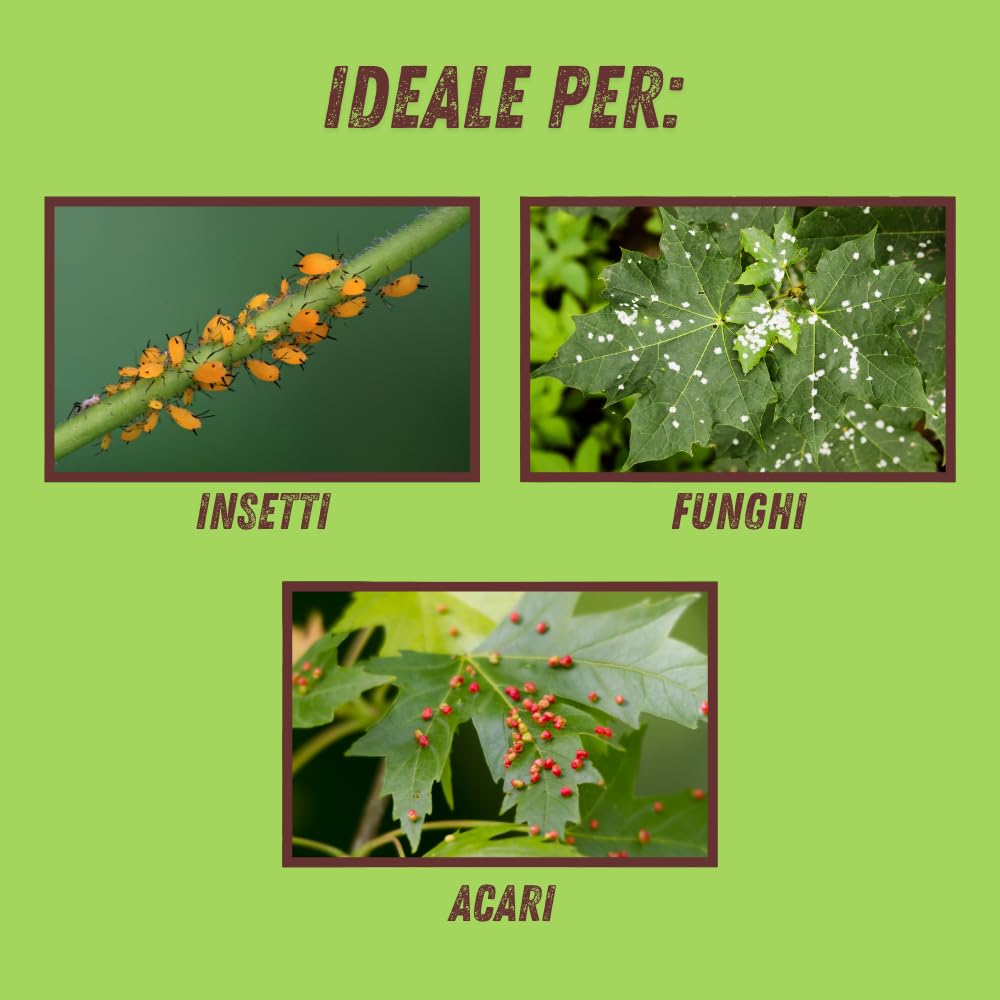 VITHAL Protezione Totale Piante - a base di Equiseto e Ortica, Insetticida Fungicida Acaricida, 100% Naturale e Biologica, Contro Insetti e Funghi, ideale per Piante da Frutta, Vite e Ortaggi, 500ml