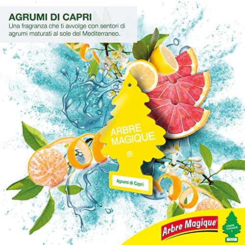 Arbre Magique Mono, Profumatore Auto, Durata fino a 7 Settimane, Made in Italy, Confezione da 1 Pezzo