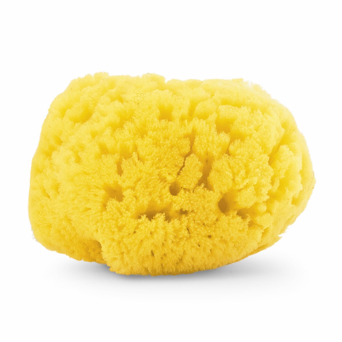 Chicco Igiene e benessere Spugna marina, 100% naturale, 0 + mesi
