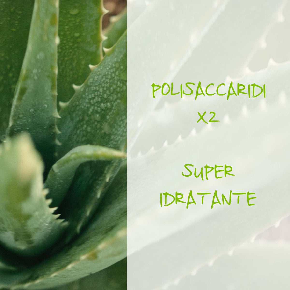 Omia, Scrub Viso Eco Bio Con Aloe Vera del Salento, Trattamento Esfoliante e Purificante, Per Pelli Normali e Miste, Senza Siliconi, Dermatologicamente Testato - Flacone da 75 ml