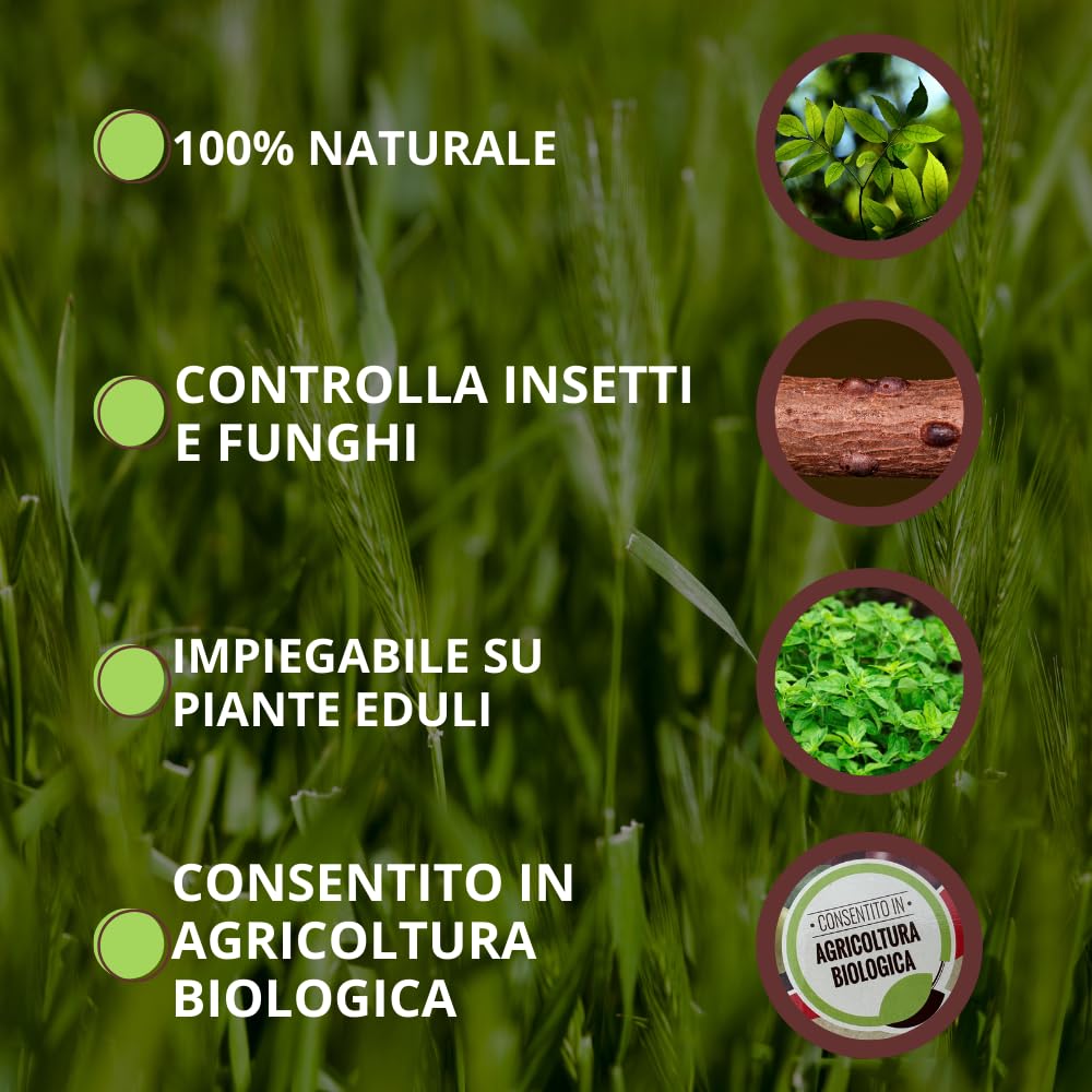 VITHAL Protezione Totale Piante - a base di Equiseto e Ortica, Insetticida Fungicida Acaricida, 100% Naturale e Biologica, Contro Insetti e Funghi, ideale per Piante da Frutta, Vite e Ortaggi, 500ml