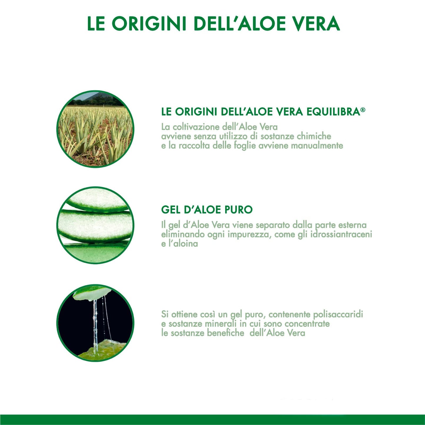 6x Equilibra Integratore per la Depurazione Aloe Vera Extra 99,5% con Pura Polpa e Proprietà Benefiche - 6 Flaconi da 1000ml