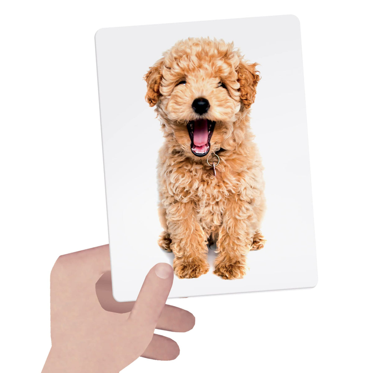 Headu Flashcards Tactile Montessori Osserva Tocca E Senti