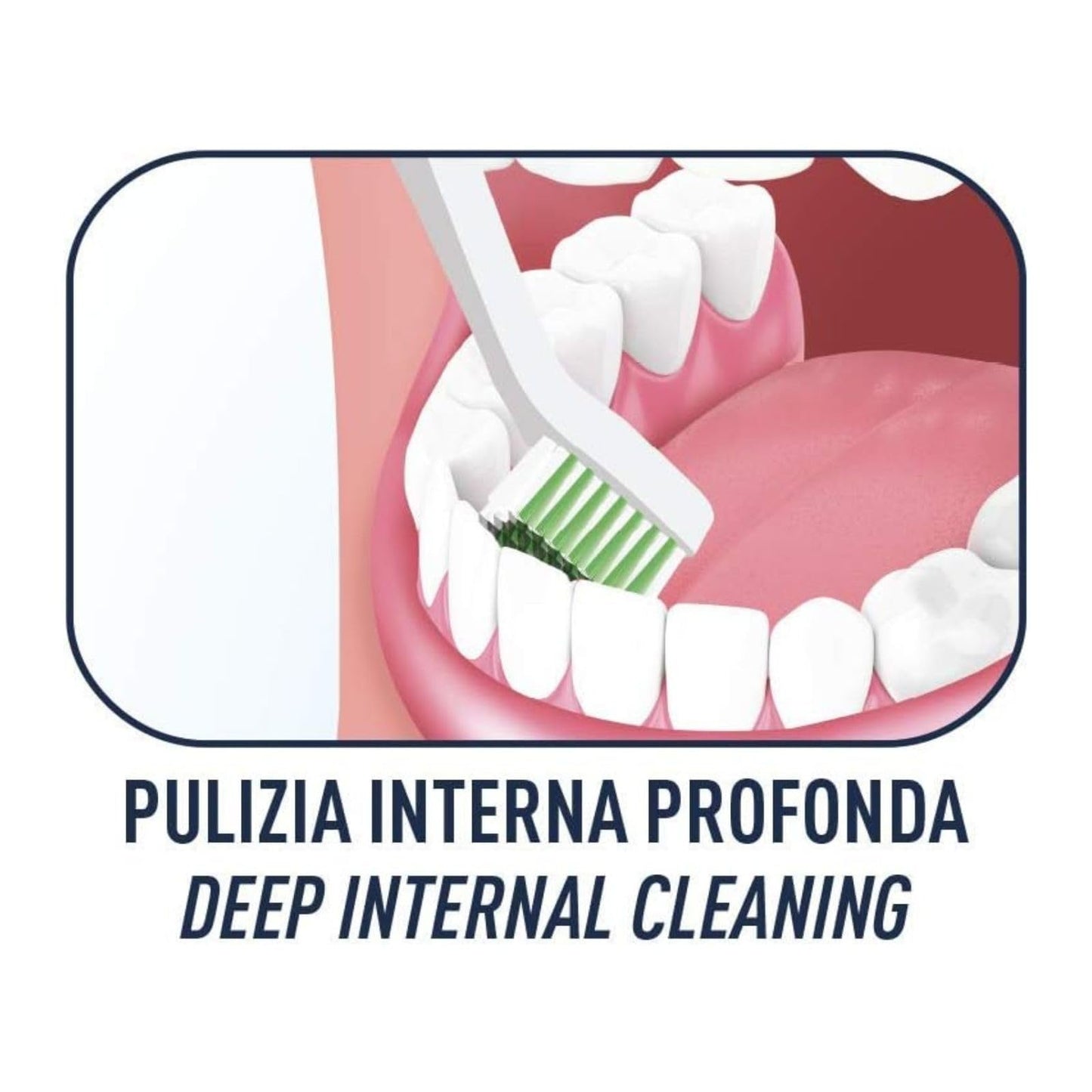 Biorepair, Spazzolino Gengive con Setole Super Soft, Antibatterico con Piliscilingua, Inibisce la Crescita Batterica Fino al 90%