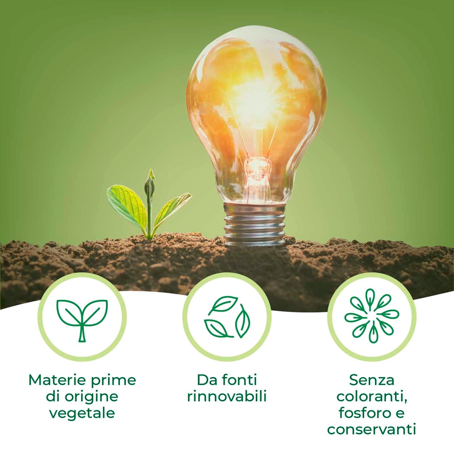 Winni's Naturel Brillantante per Lavastoviglie con Aceto Naturale Bio Ipoallergenico Materie Prime Origine Vegetale Completamente Biodegradabili - 4 Flaconi da 250ml