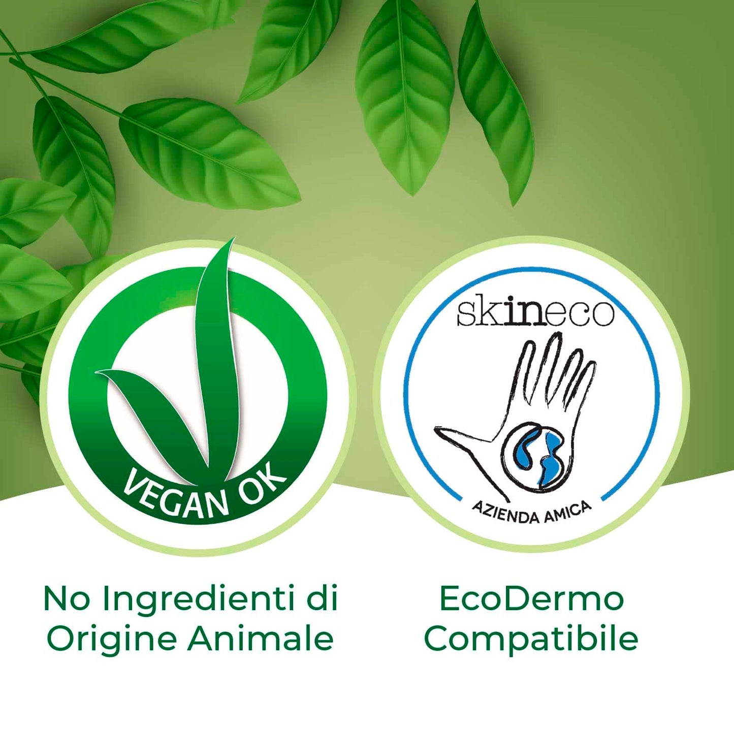 Winni's Naturel Brillantante per Lavastoviglie con Aceto Naturale Bio Ipoallergenico Materie Prime Origine Vegetale Completamente Biodegradabili - 4 Flaconi da 250ml