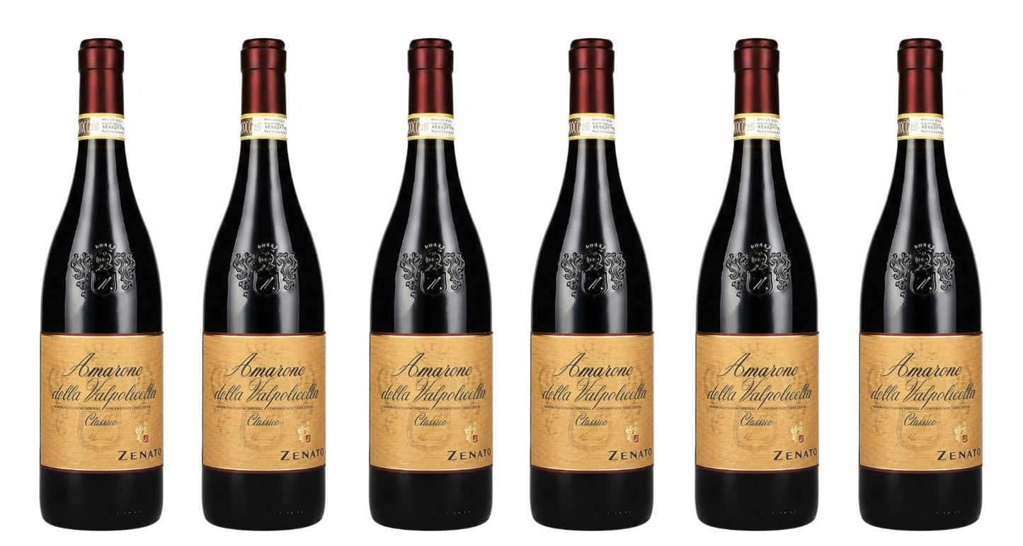 CG94 Zenato Amarone della Valpolicella DOCG Classico, Vino Rosso, 750 ml, Confezione Global Dream da 6 Bottiglie