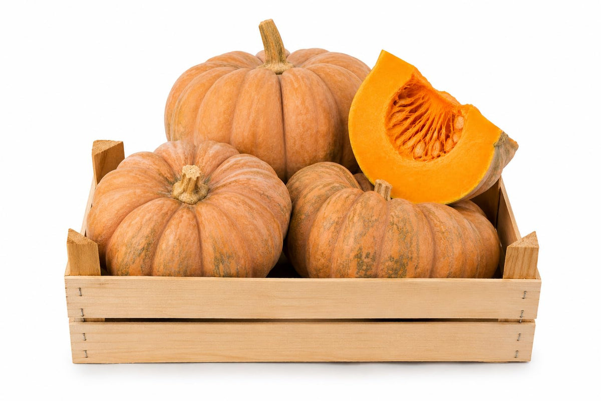 CG94 - Zucca Fresca Italiana Selezione Premium 3 kg