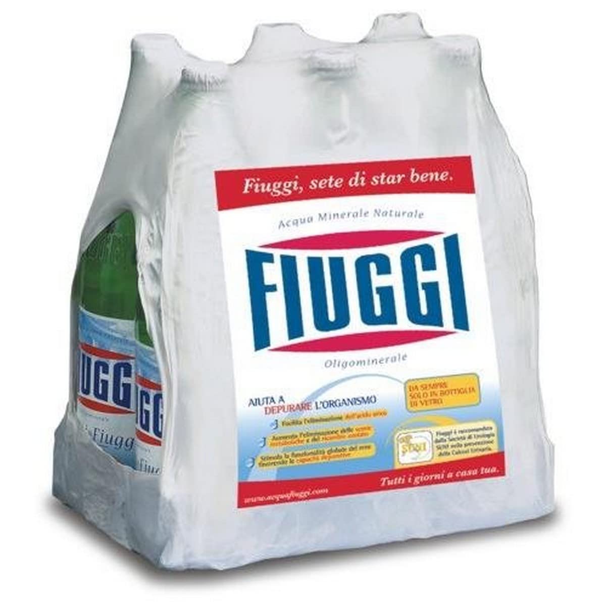 Fiuggi Acqua Oligominerale Naturale, Confezione da 6 x 1L