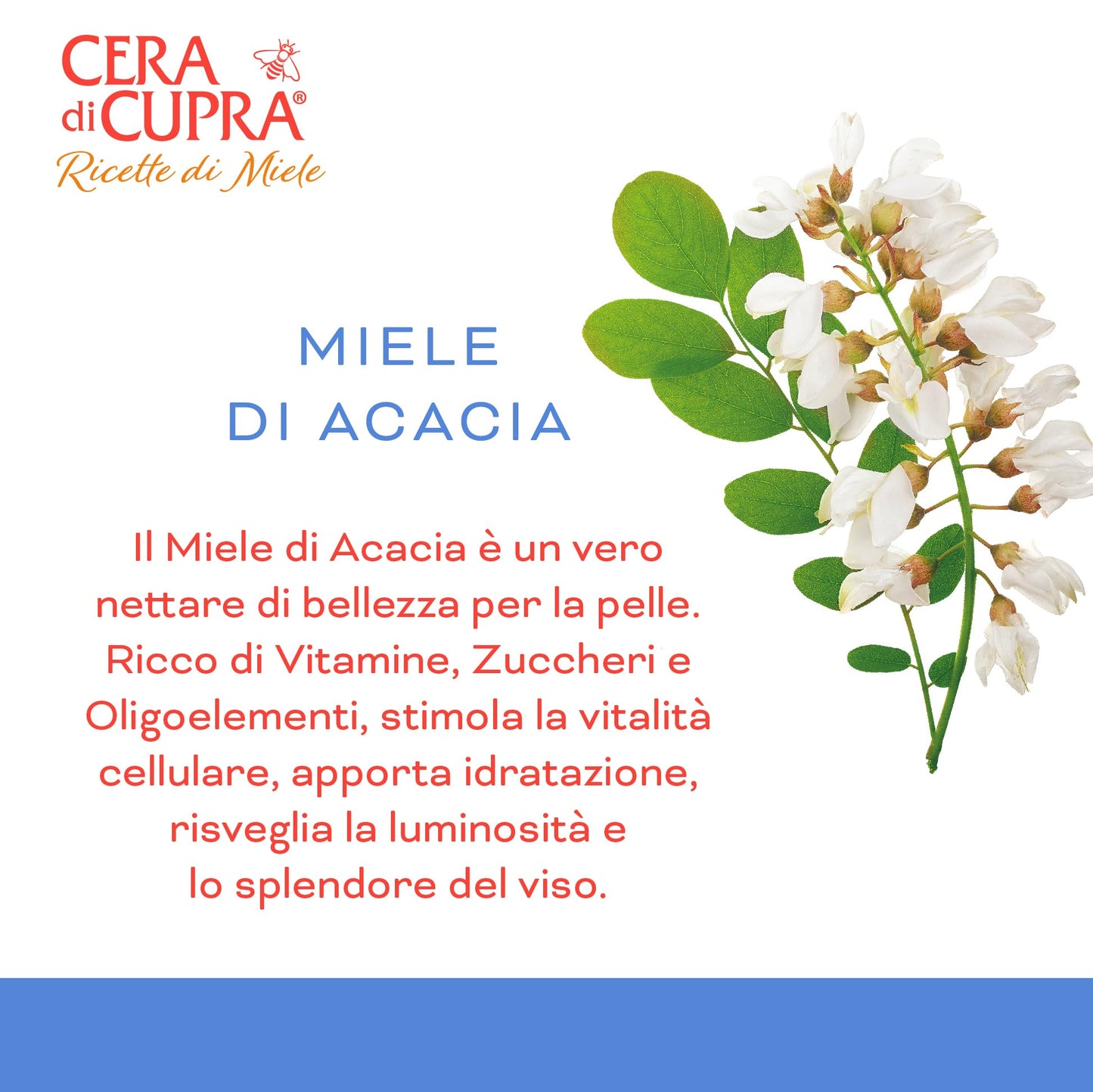 Cera di Cupra, Crema Super Idratante Protettiva, Dona Energia e Luminosità al Viso, Rende la Pelle più Elastica, Made in Italy, Dermatologicamente Testata, Vasetto da 50 ml