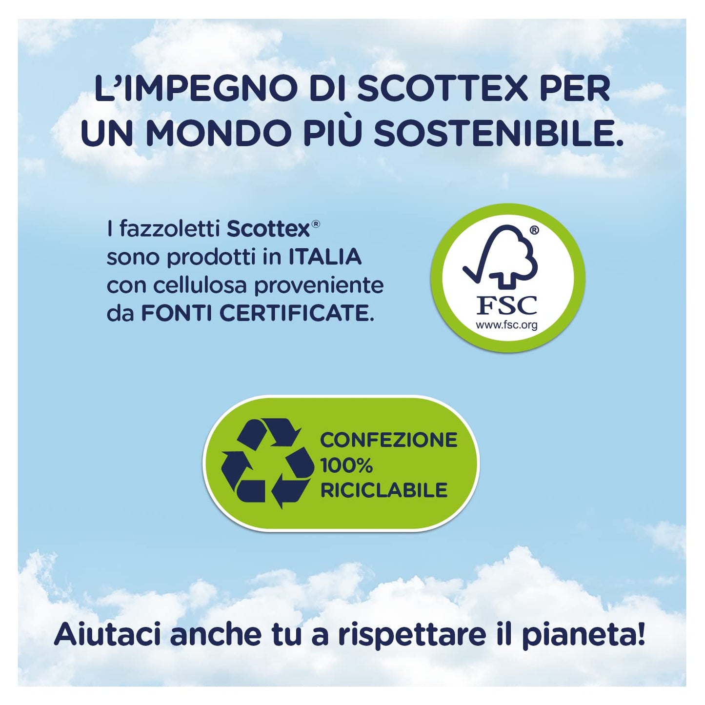 Scottex Fazzoletti Pocket Allergy, Ultra assorbenti, Oftalmologicamente testati, Confezione da 80 Pacchetti di Fazzoletti di carta (8x10)