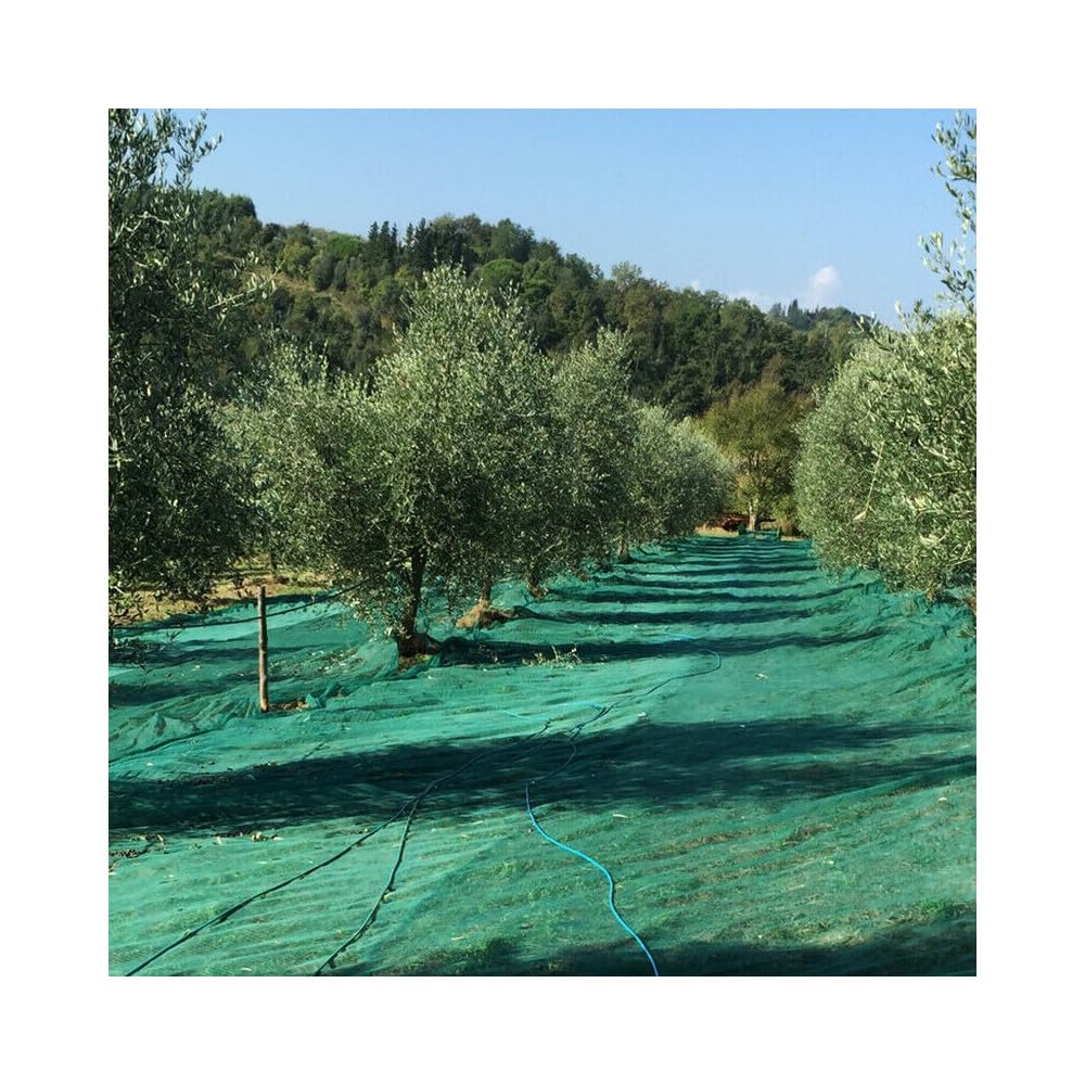 CG94 Rete Telo Raccolta Olive Antispina con Angoli Rinforzati 6x6 mt