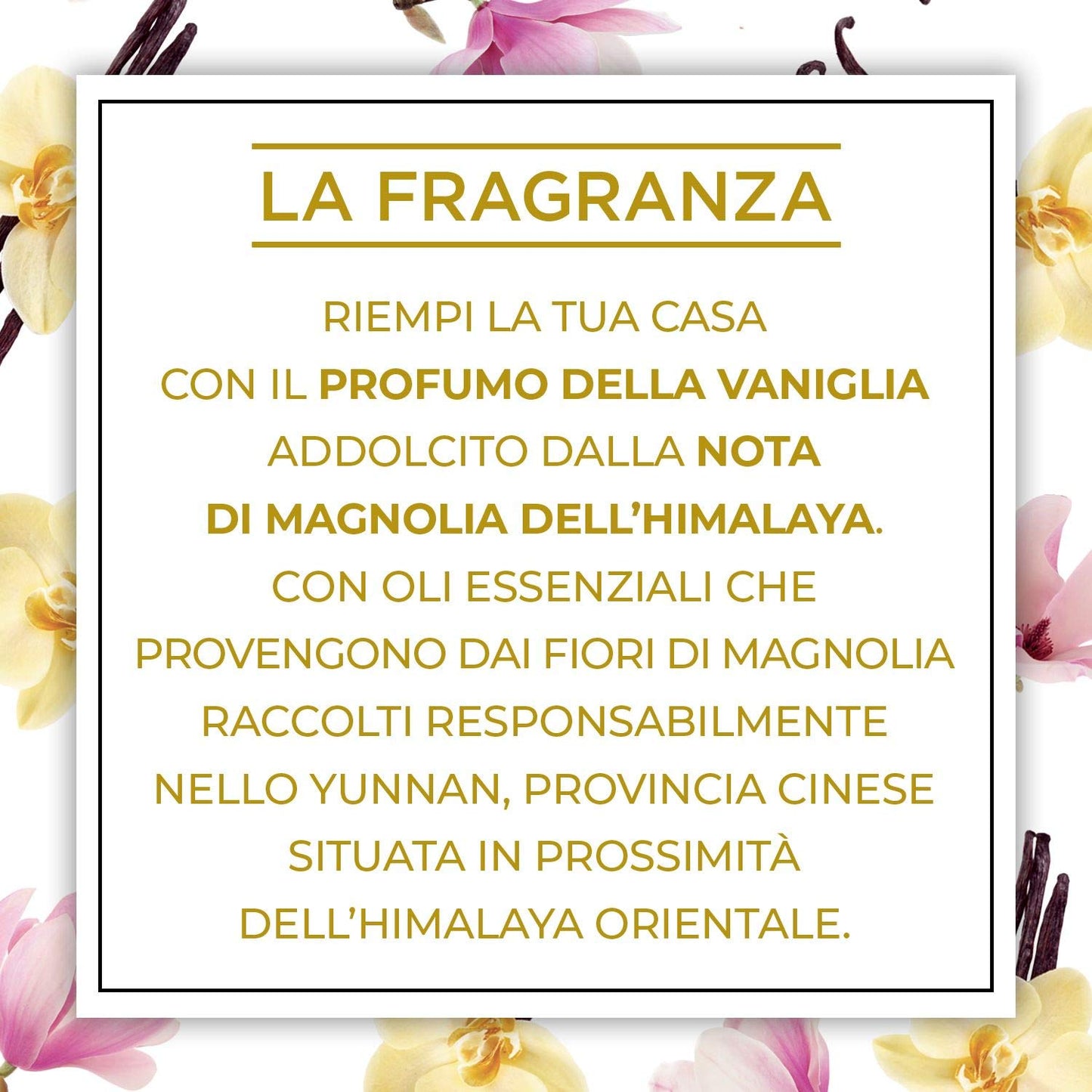 Airwick Botanica Diffusore Elettrico di Oli Essenziali, Confezione con 1 Profumatore per Ambienti e 1 Ricarica alla Fragranza di Vaniglia e Magnolia dell'Hymalaia, Profumatore per Ambienti Elettrico