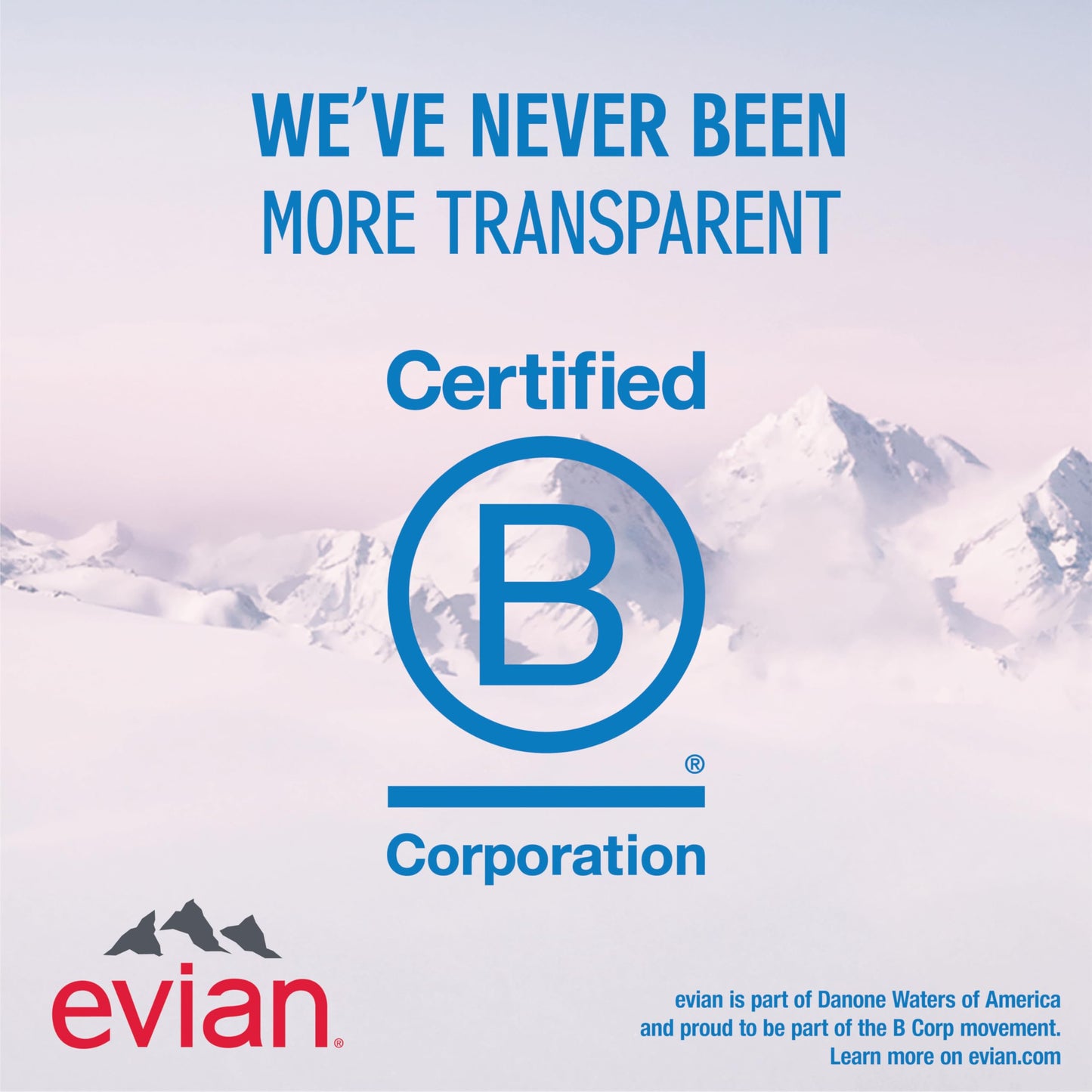 Evian - Acqua di sorgente naturale (una confezione da 12 bottiglie singole, ogni bottiglia è 1 litro) acqua di sorgente filtrata naturalmente in bottiglie grandi