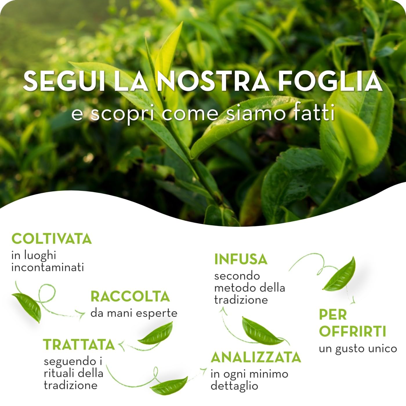 Estathé Zero Limone - The Freddo, Senza Zucchero, con Vero Infuso di Foglie di The e Succo di Limone, Bevanda Analcolica Senza Glutine, 6 Bottiglie da 1,5 lt