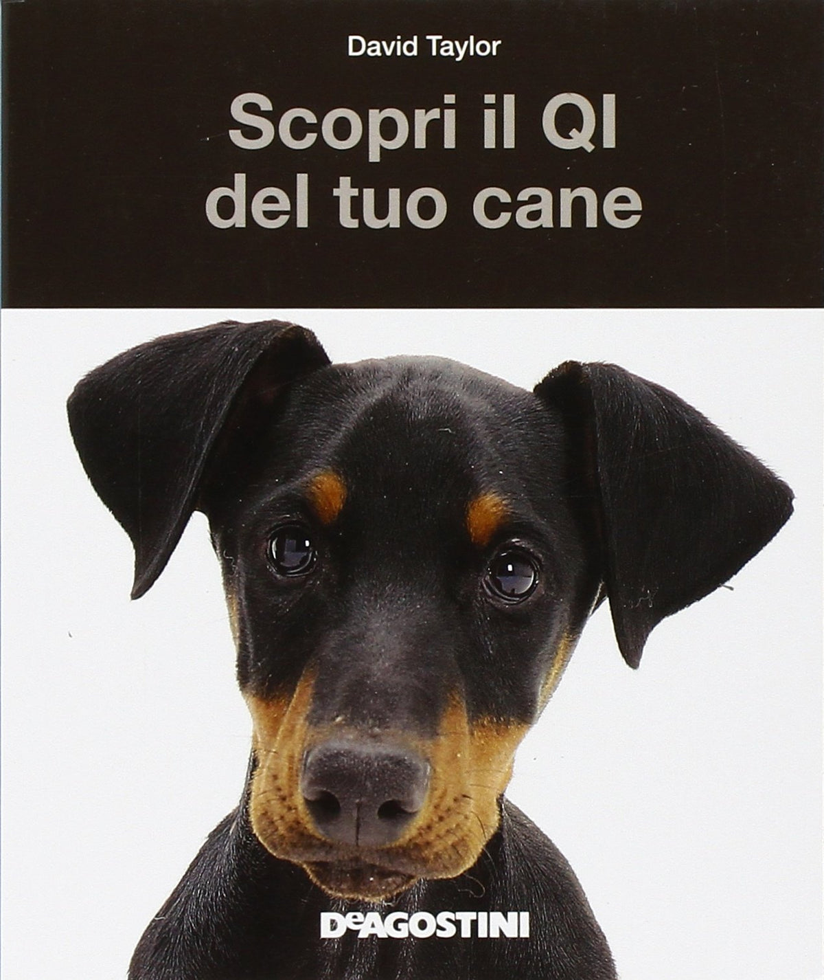 SCOPRI IL QI DEL TUO CANE