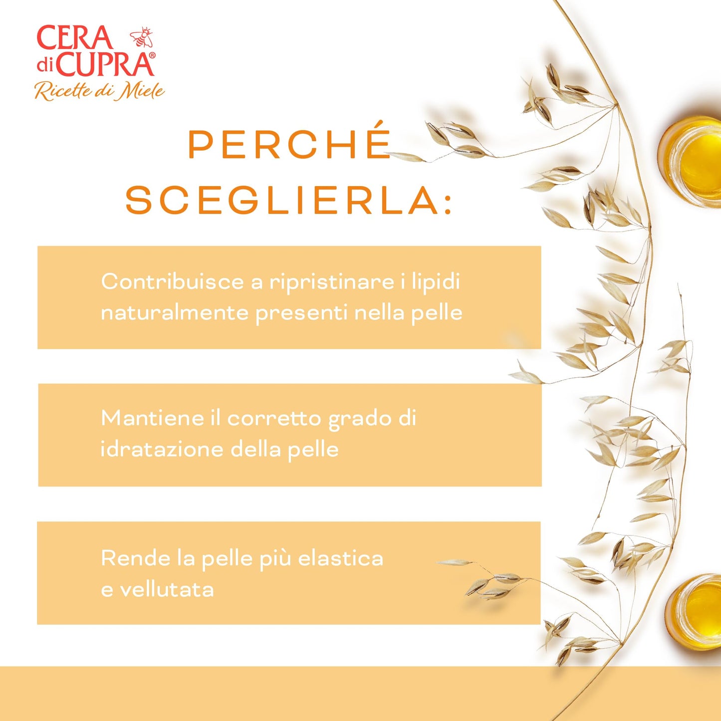 Cera di Cupra, Crema Nutriente Protettiva, Protegge e Dona un Intenso Comfort anche alle Pelli più Secche, Ideale sia la Mattina che la Sera, Made in Italy, Dermatologicamente Testata, 50 ml