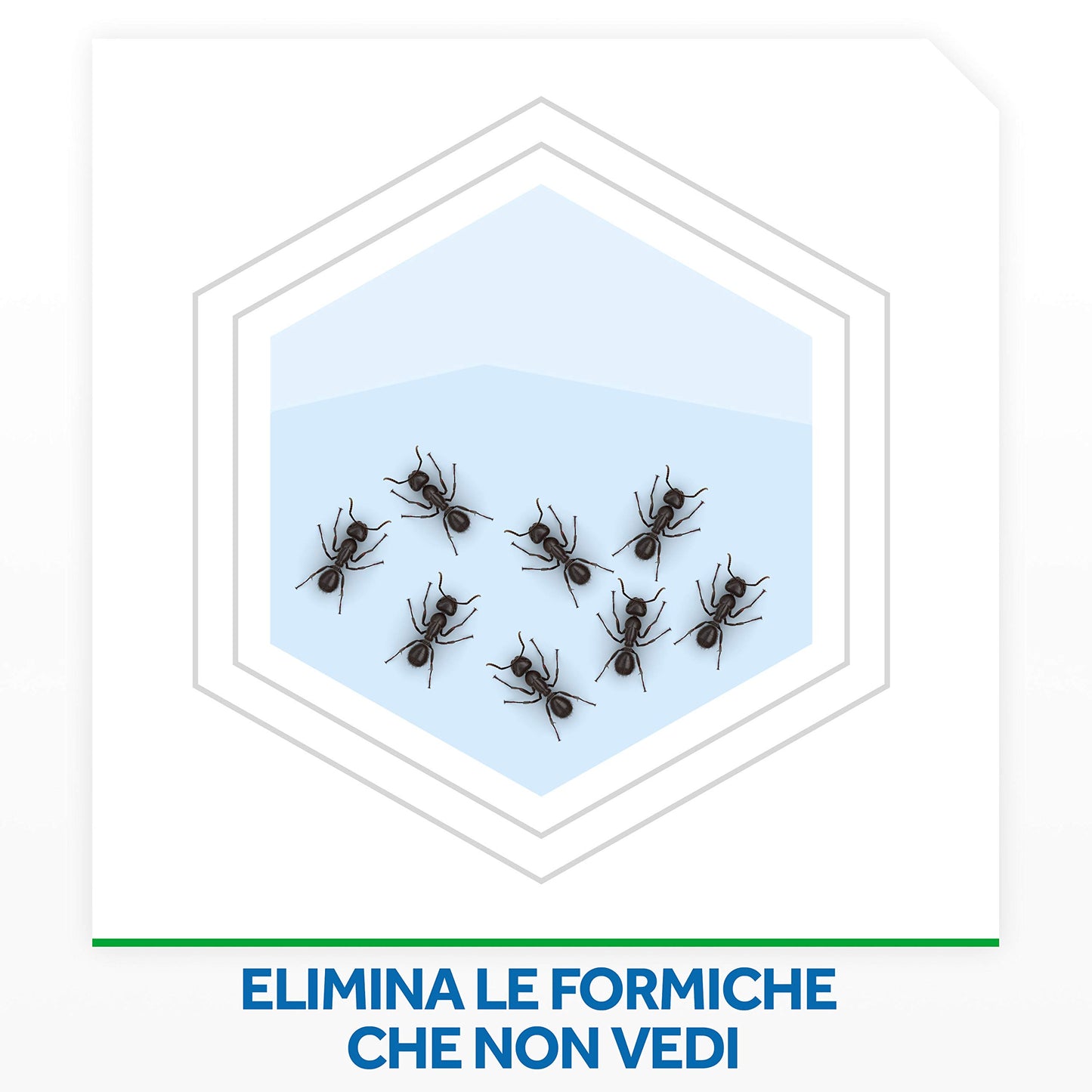 Baygon Trappola Adesiva, Efficacie contro Scarafaggi e Pesciolini d'Argento, Protezione per la Cucina, 1 Confezione da 62.5 g