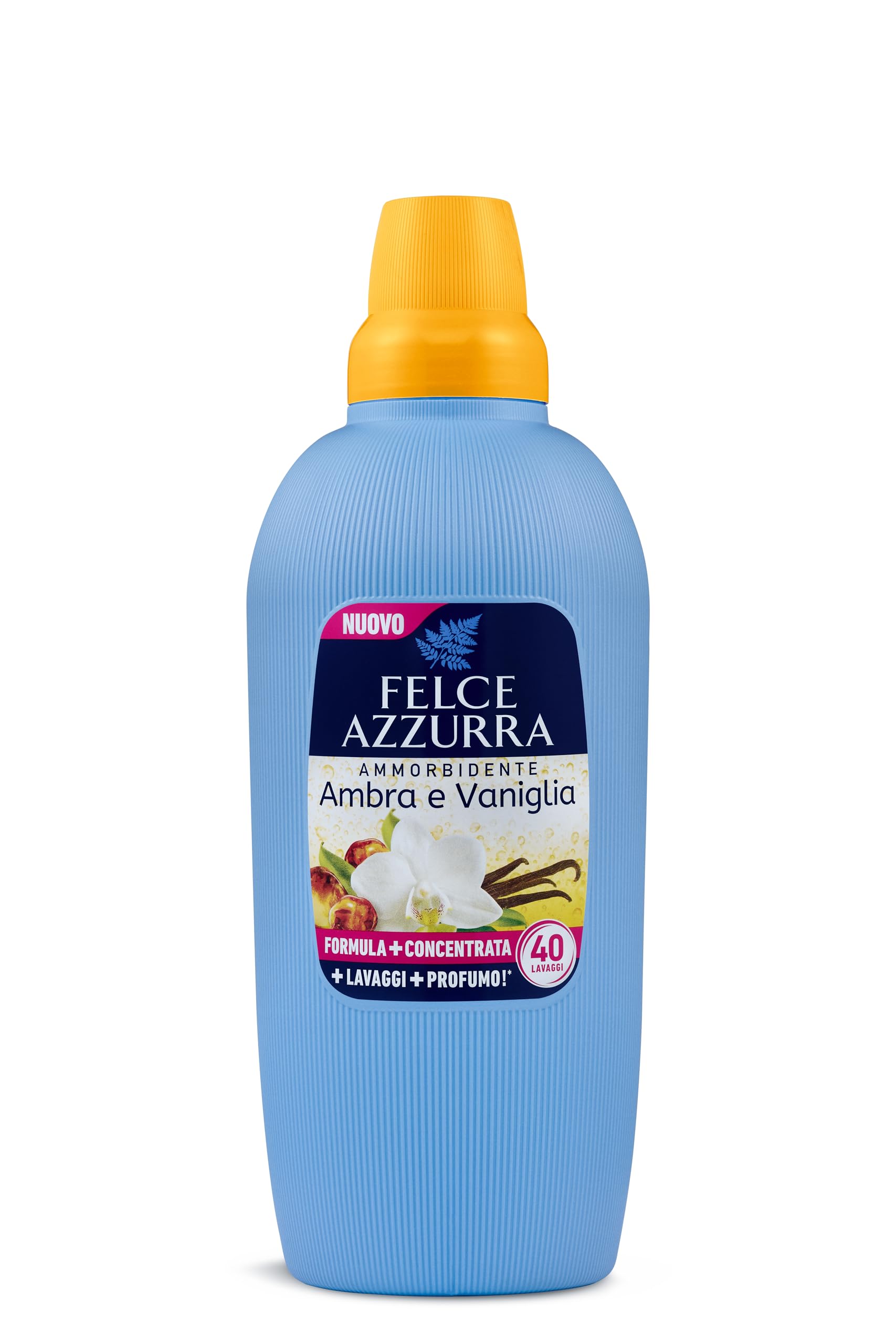 RXCASA-BAVA-FEL04/8001280034022