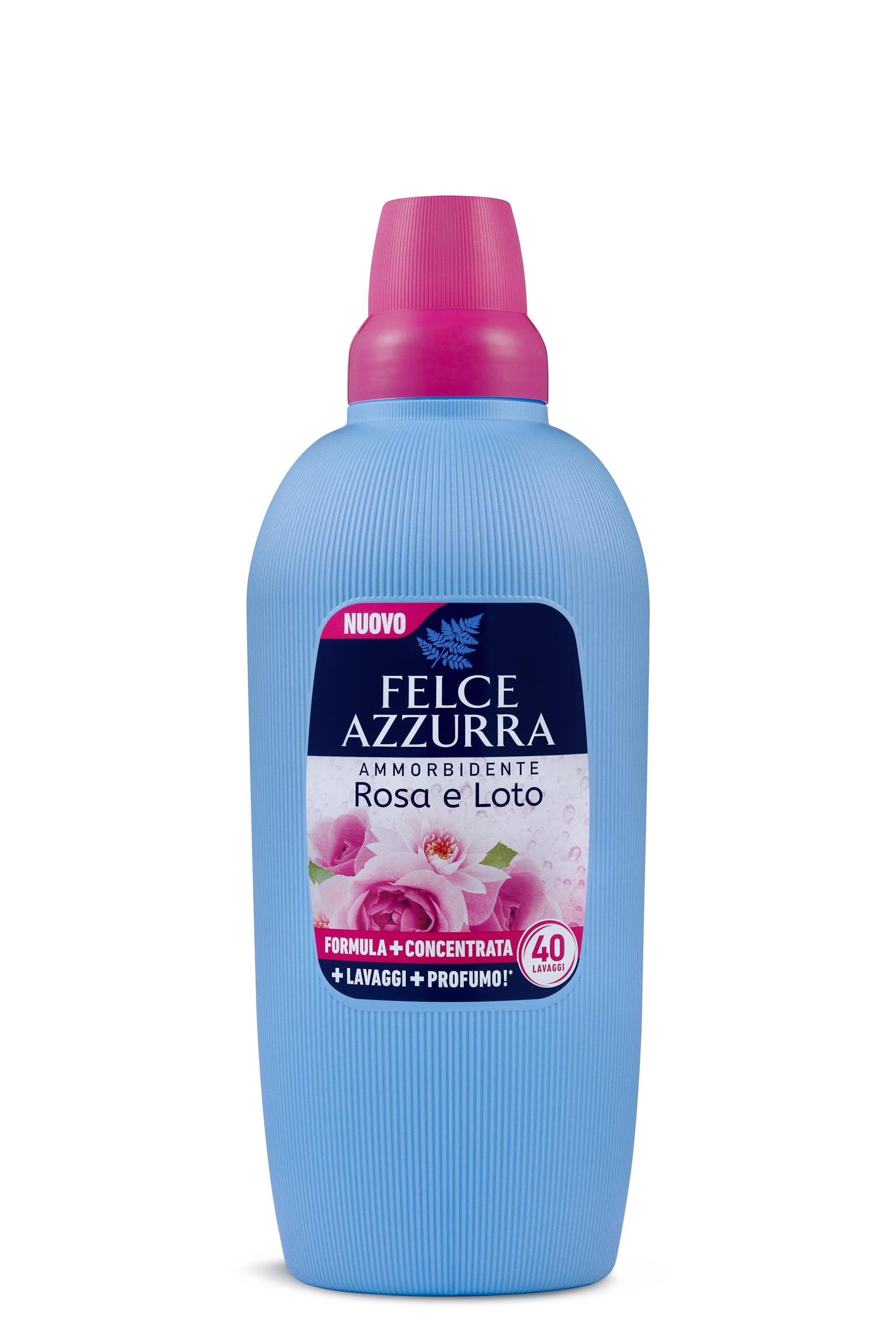 RXCASA-BAVA8001280034039