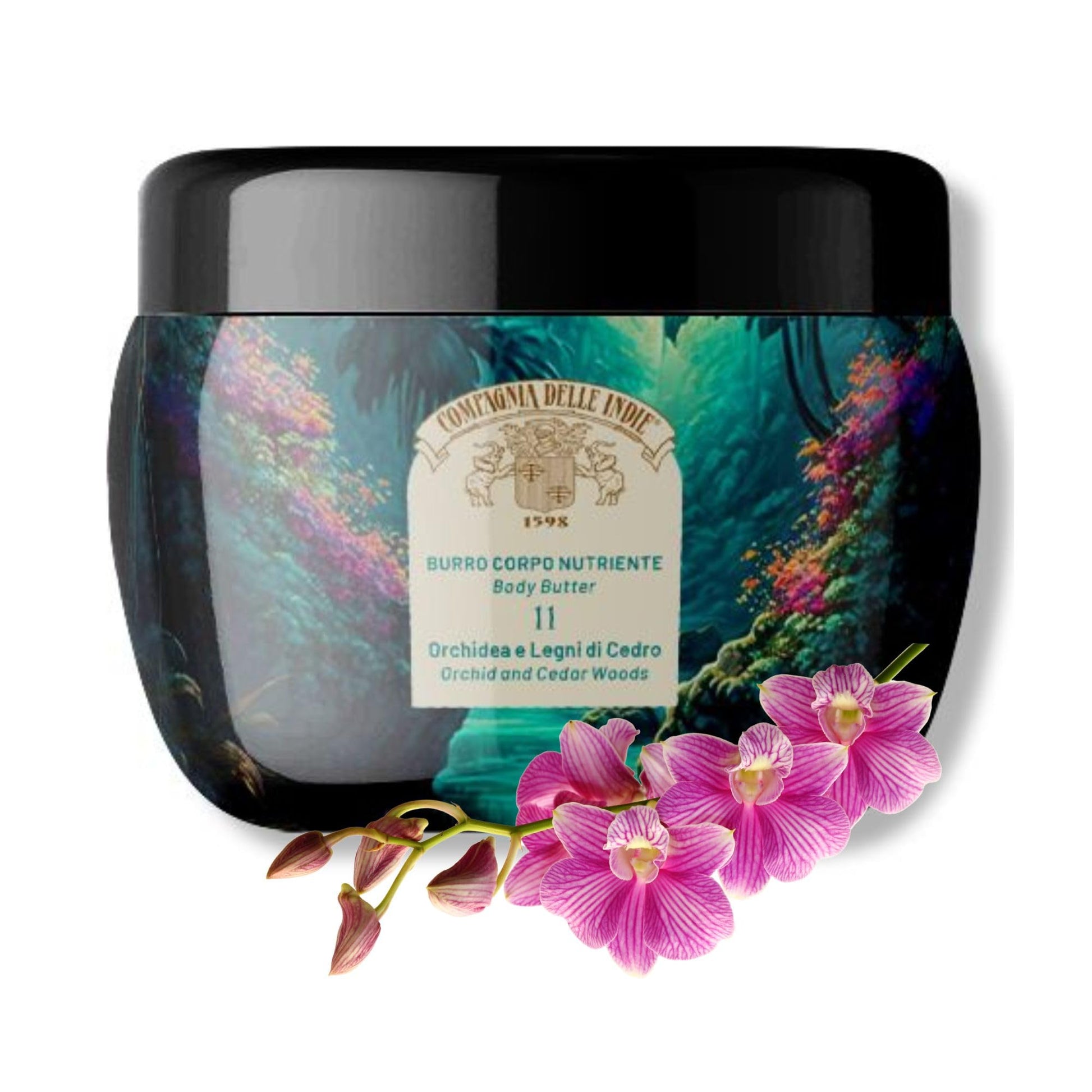 RXCASA-BAVA-COM81/8051706240186#2