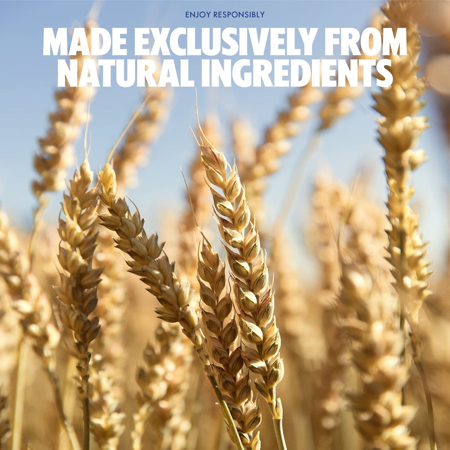 ABSOLUT Vodka Mignon Cl.5-50 ml