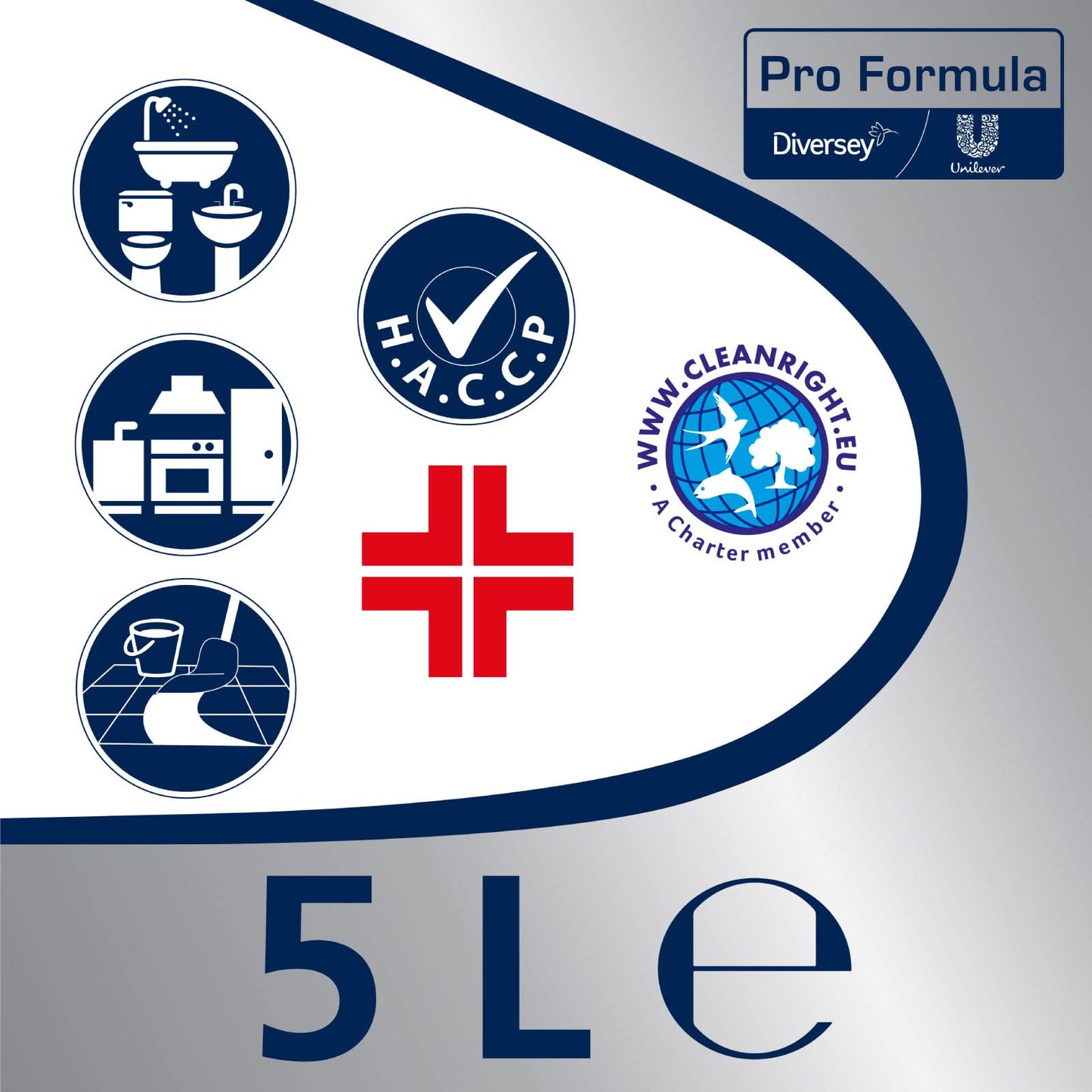 Lysoform Professional Disinfettante Battericida Lieviticida ad Azione Detergente e Deodorante Pro Formula Igienizzante Anti Odore - Tanica da 5L