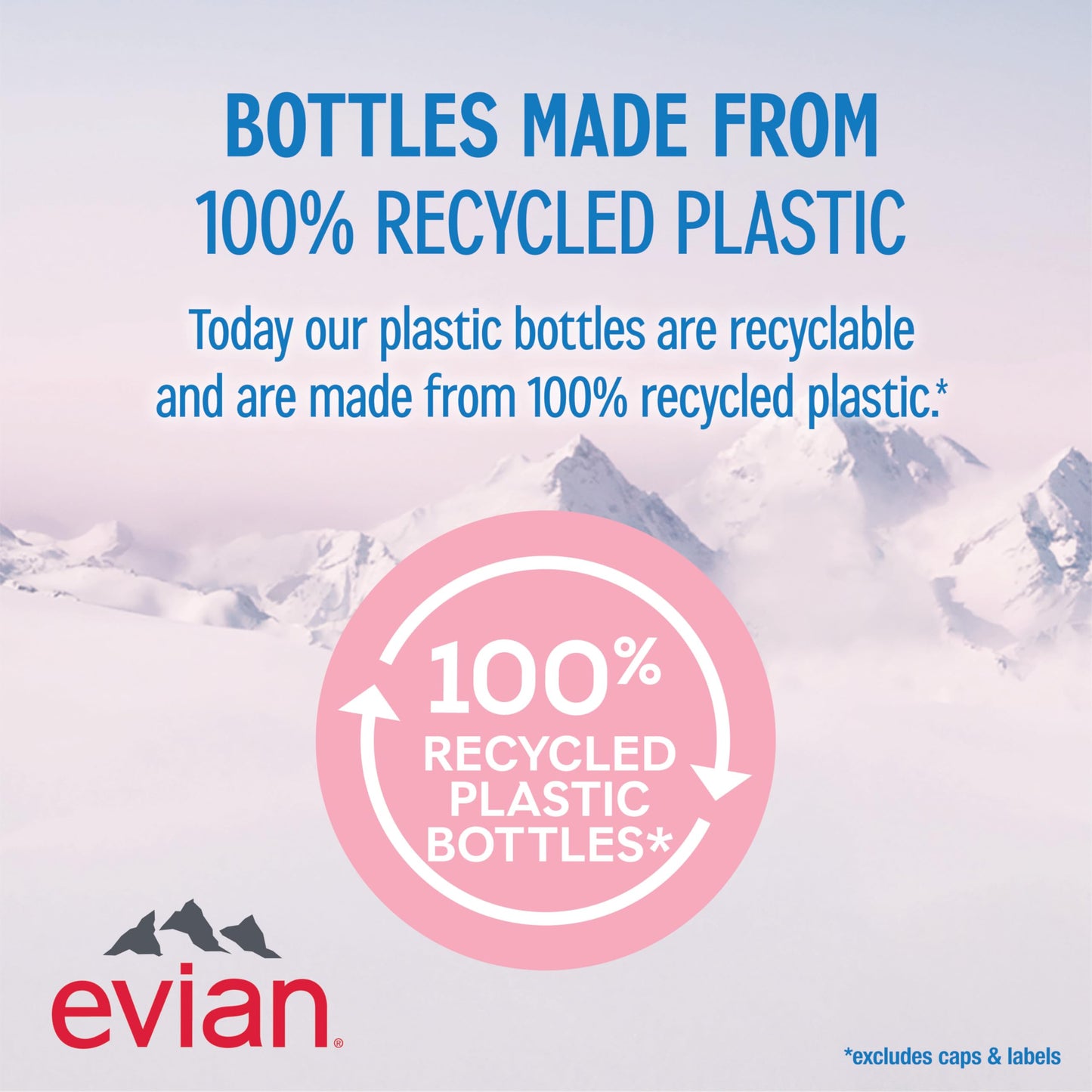 Evian - Acqua di sorgente naturale (una confezione da 12 bottiglie singole, ogni bottiglia è 1 litro) acqua di sorgente filtrata naturalmente in bottiglie grandi