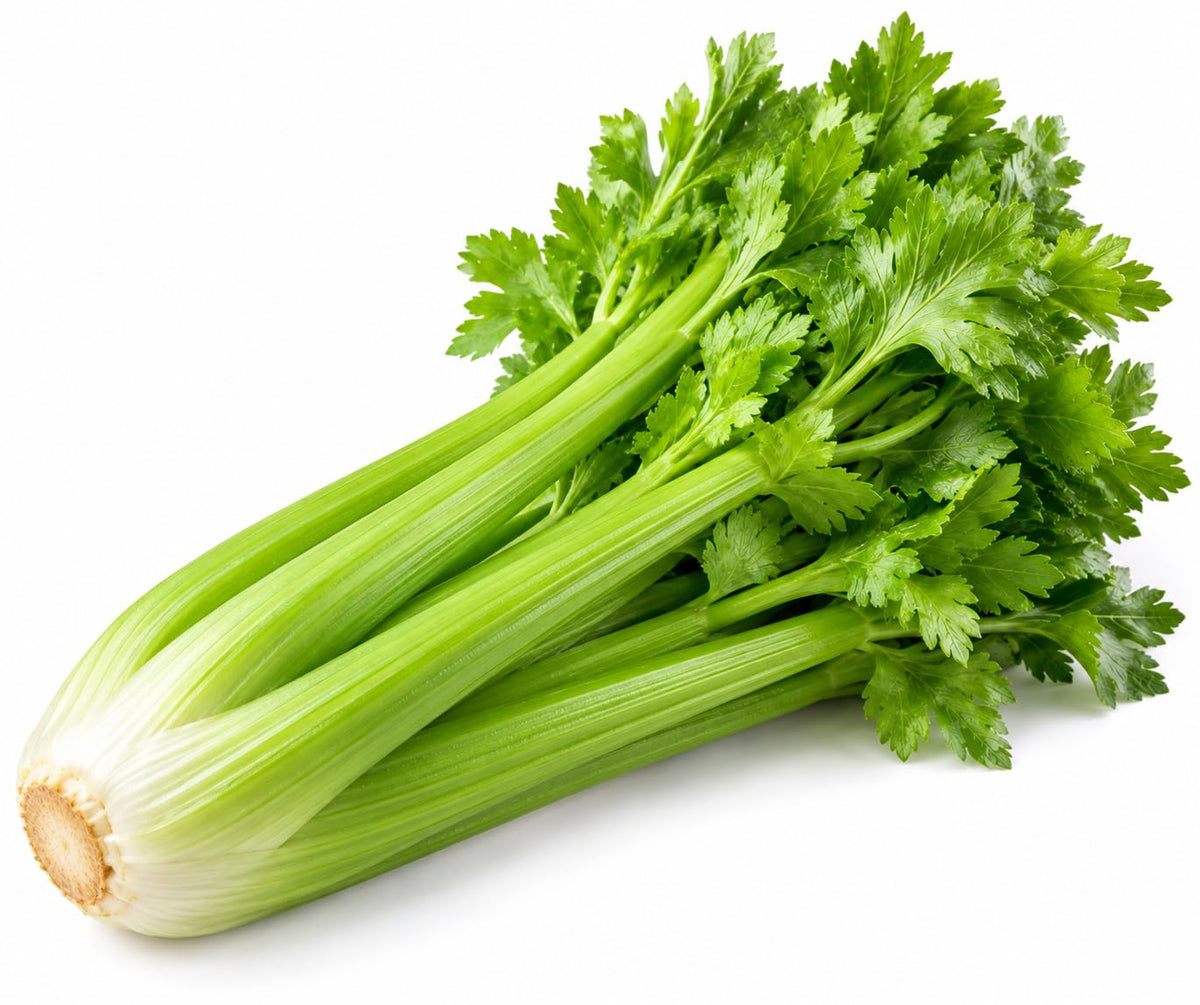 CG94 Sedano Verde Fresco Selezionato 1 kg